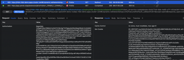 Screen shot showing the network traffic on my workstation