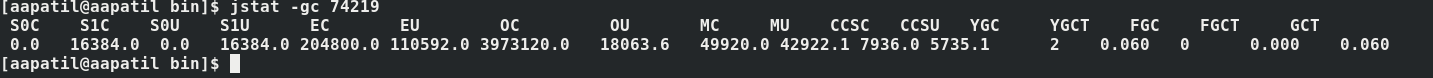 The jstat command shows statistics about the running Java application.