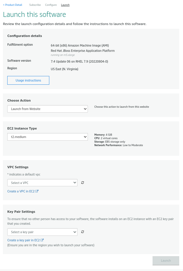 The "Launch this software" page presents several configuration options.