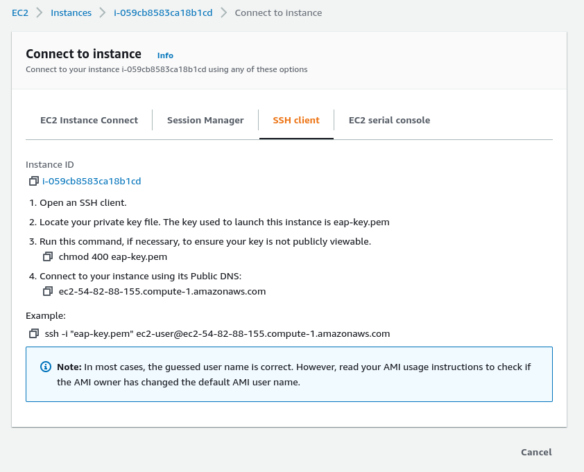 The "Connect to Instance" page gives the commands needed to connect.