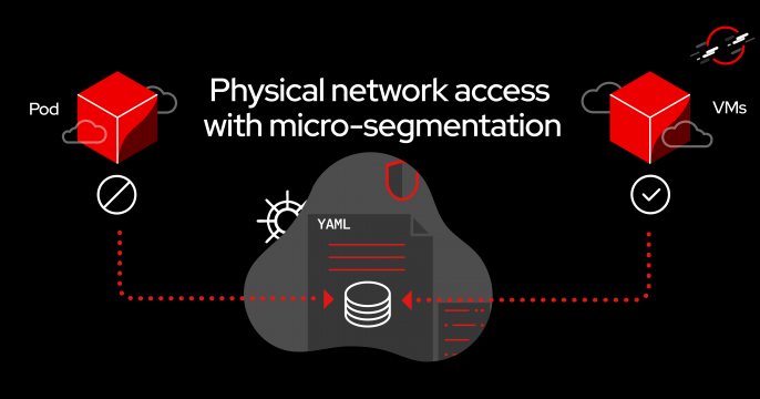 Physical network access with micro-segmentation