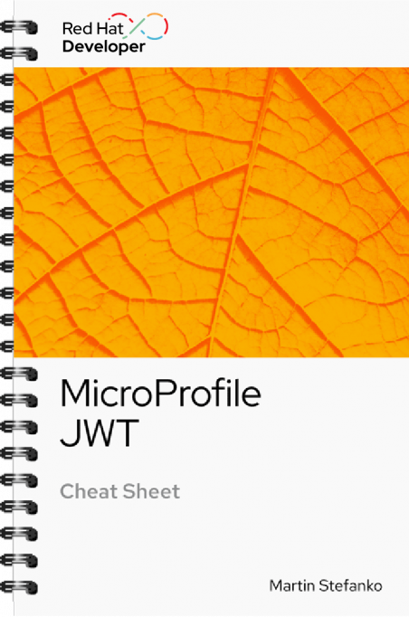 COver graphics_MicroProfile JWT