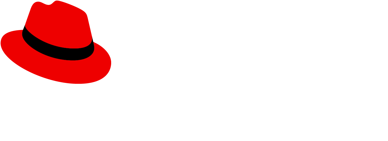 Red Hat Data Grid logo - white