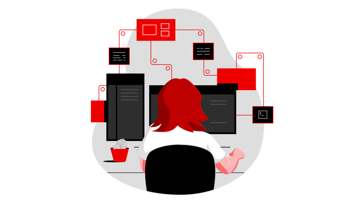 Ansible spot illustration with person at computer