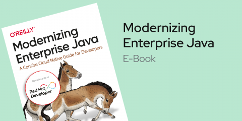 Modernizing Enterprise Java