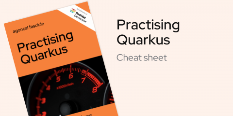 Practising Quarkus Ebook