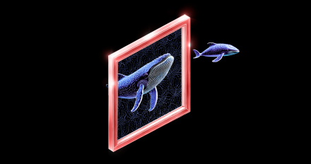 Featured image showing two whales swimming through a red frame.